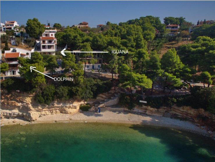 Villa Iguana Votsi Вотси Экстерьер фото
