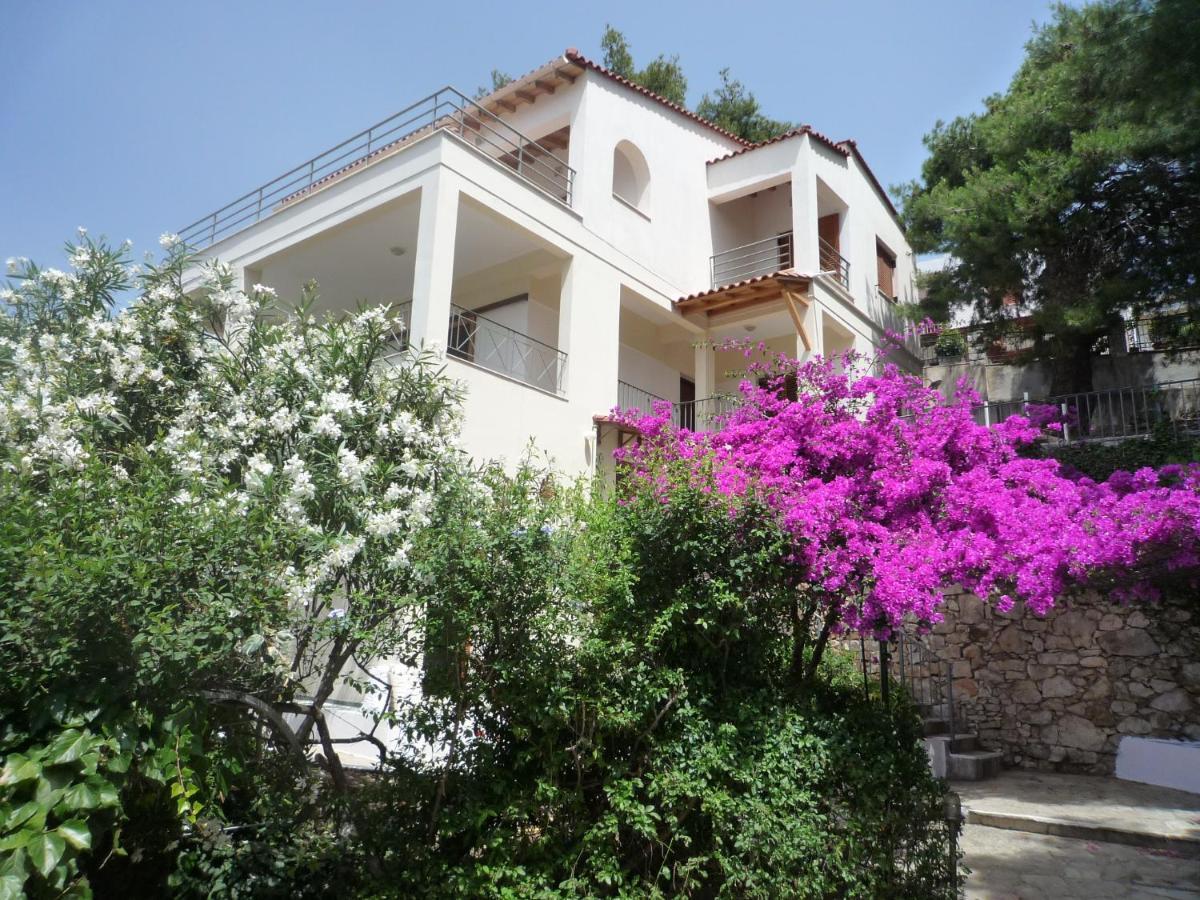 Villa Iguana Votsi Вотси Экстерьер фото